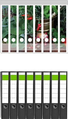 Produktbild von Wallario 8 Stück schmale Ordner inkl. Klebeetiketten mit Motive Frische  Kräuter  und  Gewürze -  Set mit Rückenschildern / Ordnerrücken Stickern