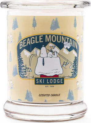 Zdjęcie produktu dla Beagle Mountain - świeczka zapachowa 250g od Peanuts