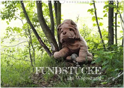 Produktbild von FUNDSTÜCKE am Wegesrand (Wandkalender 2025 DIN A3 quer), CALVENDO Monatskalender