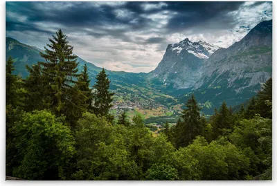 Produktbild von Leinwandbild Bäume Wald 60 x 90 cm - Wandbild Landschaft Grün Grau - Keilrahmen Natur Wohnzimmerdeko Wanddeko Wandgemälde