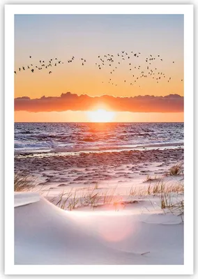 Produktbild von Poster - Poster ohne Rahmen - Sonne Strand Vögel - 70x100 cm - Wand Bild - Wanddeko - Wandbilder - Kunstposter - Wandposter - Bilder - Kunstdruck - Wanddekoration - Wandbild - P2XPA70x100-4727