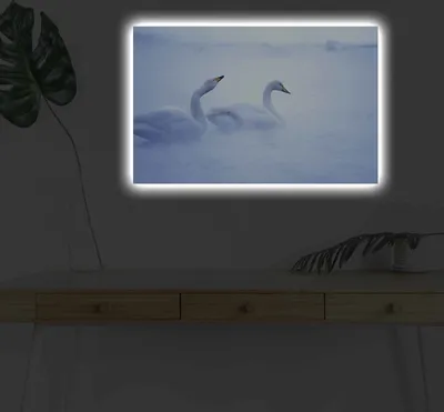 Immagine prodotto di Opviq, 4570DHDACT- SHN4492, Colorato, Quadri su tela, 45 x 70 cm, 100% pelle scamosciata - tela