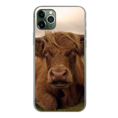 Produktbild von MuchoWow® Handyhülle Schutzhülle Hülle für iPhone 11 Pro Max Schottischer Highlander - Tiere - Berg Silikon Softcase Handy Hülle - Schutz