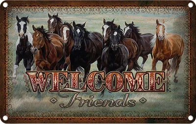 Produktbild von vianmo Blechschild 20x30 cm welcome friends