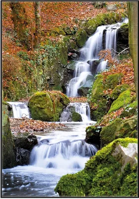 Produktbild von Wallario Wandbild Bach im Wald, Größe: 70,30 x 100,30 cm, Poster mit schwarzem Aluminiumrahmen