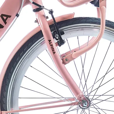 Produktbild von Alpina Fork 24 Clubb Desert Pink Matt