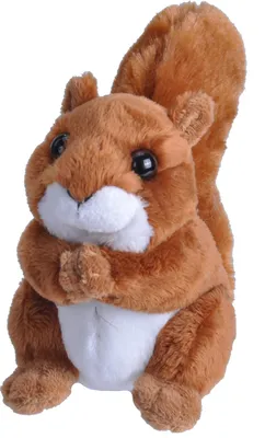 Image de Peluche Ecureuil poche ECO - 13 cm