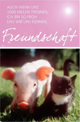 Obrázok produktu pre Karte Freundschaft Ferkel