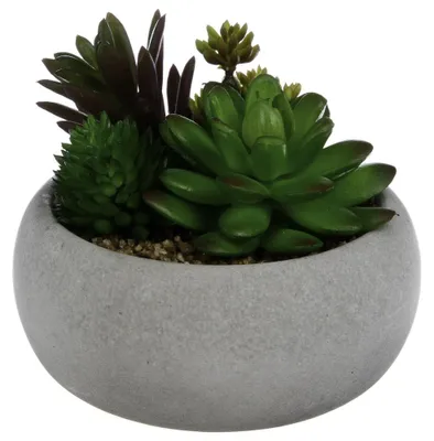 Produktbild von Dekorative künstliche Pflanze in einem Zementtopf, künstliche Blumen in einem Topf, Pflanzen für ein Badezimmer, Dekorationen für ein Badezimmer, Ornamente - Atmosphera