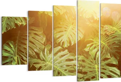 Produktbild von Bild auf Leinwand - Leinwandbild - 5 Teile - Blätter Monstera Licht - 150x100cm - Wand Bild - Wanddeko - Wandbilder - Leinwanddruck - Bilder - Wanddekoration - Leinwand bilder - EG150x100-4540