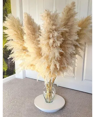 Produktbild von Pampasgras Deko 11 Stück 110cm Getrocknetes Bouquet für Wohnzimmer Hochzeit