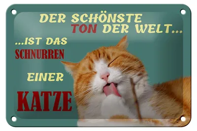 Produktbild von Blechschild Spruch 18x12cm Schönste Ton ist Katzenschnurren