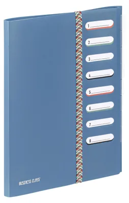 Imagen del producto de Viquel - Carpeta de organización A4, 8 compartimentos, clase empresarial – Archivador-organizador con goma elástica