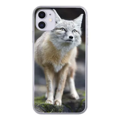 Produktbild von MuchoWow® Handyhülle Schutzhülle Hülle für iPhone 11 Fuchs - Makro - Baum Silikon Softcase Handy Hülle - Handytasche