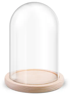 Glaskuppel mit Holzfuß, 12 x 18 cm, transparente Dekovitrine