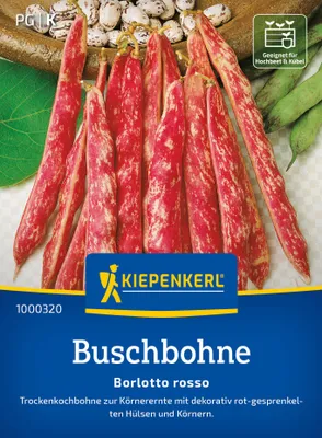 Artikelbild 2 von 'Buschbohne Borlotto Rosso' aus der Kategorie Buschbohnensamen