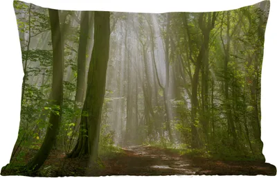 Produktbild von MuchoWow® Outdoor Kissen - Wald - Licht - Natur - Landschaft - 50x30 cm - Wetterfest - Lounge Kissen - Sofa kissen - Wohnzimmer Dekoration