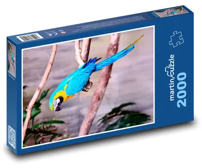 Obrázek produktu pro martinpuzzle - Puzzle 2000 - Popoušek