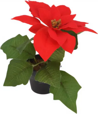 Produktbild von Weihnachtsstern, künstliche Blume, 19 cm