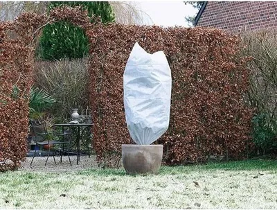 Immagine prodotto di Copertura invernale per piante, set da 2, Ø 75 cm x 1,50 m, polipropilene 50 g/m², bianco