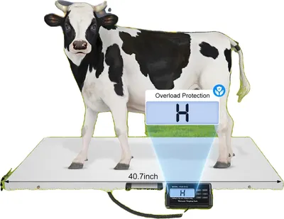 Obrázek produktu pro Digitální veterinární a zemědělská váha, dva vážicí režimy pro domácí a hospodářská zvířata, LCD displej