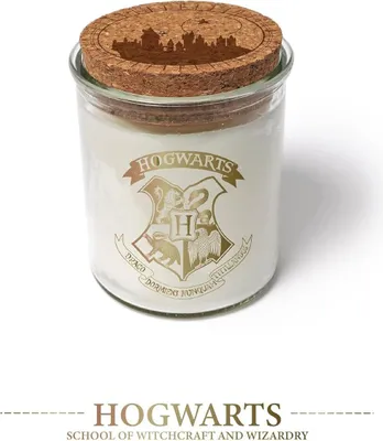 Produktbild von Harry Potter - Magische Hauswahl - Dekokerze