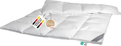 Produktbild von Daunendecke 200x200 cm 100 % Gänsedaunen Extra warme Winter Daunendecke Bettdecke Steppdecke Daunen SPESSARTTRAUM SMARAGD