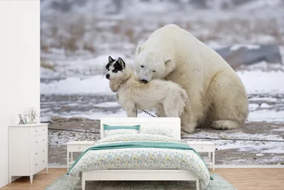 Produktbild von MuchoWow® Fototapete für Wohnzimmer oder Schlafzimmer Wandtapete Vinyl Motivtapete Hund - Eisbär - Freundschaft - 600x400 cm - Vinyltapeten