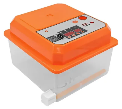 Brutmaschine für 12 Eier, automatische Eierdrehung, Temperaturregelung