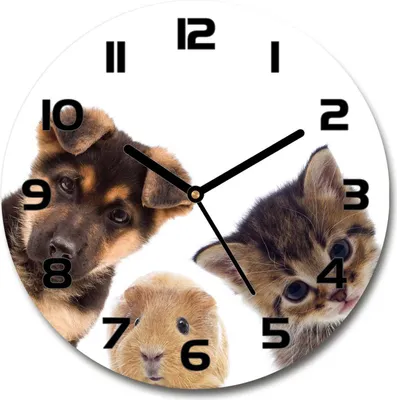 Produktbild von Wanduhr aus Glas 30fi Glasbild Glasuhr Gehärtetes Glas - schwarze-zeiger - Pets