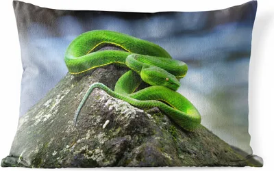 Produktbild von MuchoWow® Outdoor Kissen - Grüne Schlange auf Stein - 60x40 cm - Wetterfest - Lounge Kissen - Zierkissen - Kissen für Innenräume