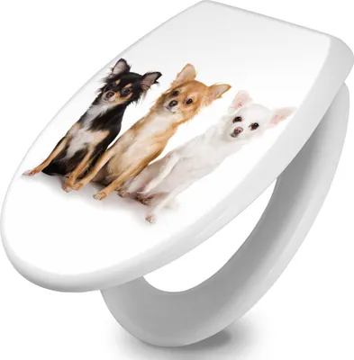 Produktbild von banjado Toilettendeckel mit Absenkautomatik 37,3x45x5cm -Chihuahua - WC Brille Soft Close - hygienischer Toilettendeckel/Klodeckel Duroplast mit Edelstahl Scharnieren - einfache Montage [TDW 10005]