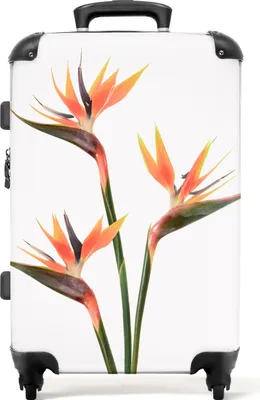 Produktbild von NoBoringSuitcases.com® Großer Koffer - Blumen - Orange - Natur - Pflanzen - Kombinationsschloss TSA - Hartschalen Trolley 4 Rollen - 72 liter - Reisekoffer - 66 cmKoffer Mittelgroß 67x43x25 cm, 72L,