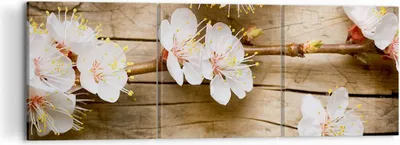 Produktbild von Bild auf Leinwand - Leinwandbild - Blume Stängel - 120x40cm - Wand Bild - Wanddeko - Wandbilder - Leinwanddruck - Bilder - Kunstdruck - Wanddekoration - Leinwand bilder - Wandkunst - CA120x40-3537