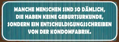 Produktbild von vianmo Holzschild 10x27 cm manche Menschen sind so dämlich Spruch Zitat