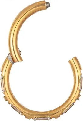 Produktbild von Karisma Titan G23 Hinged Segmentring Charnier/Conch Septum Clicker Ring Piercing Ohrring Zirkonia Edged Kristallrand Stärke 1,2 - Gold/ 1,2x8mm