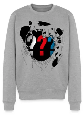 Produktbild von Spreadshirt Die Drei Fragezeichen Brust Destroyed Look Herren Premium Pullover, 3XL, Grau meliert