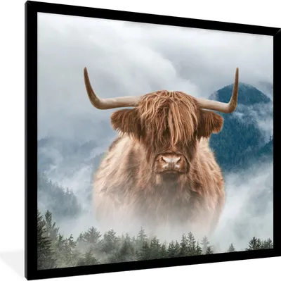 Produktbild von MuchoWow® Gerahmtes Poster Schottischer Highlander - Nebel - Berg 40x40 cm - Poster mit Schwarzem Bilderrahmen Wandposter Rahmen Foto Bilder - Mit Rahmen - Wanddekoration Schlafzimmer