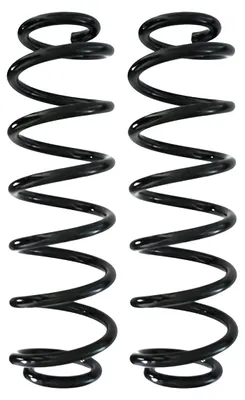 Image de Jeu de ressorts de suspension – Ressort hélicoïdal arrière Ø 165 mm SPIDAN pour divers véhicules