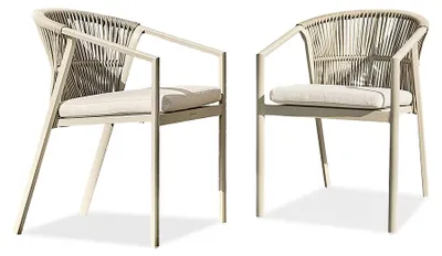 Image de Lot de 2 fauteuils de jardin