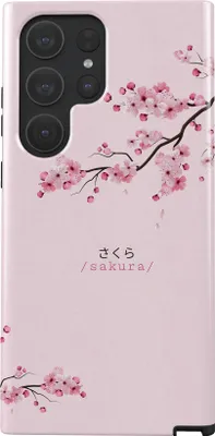 Produktbild von Samsung Galaxy S25 Ultra, Schutzhülle kompatibel mit MagSafe stoßfest – Handyhülle Case Schutz