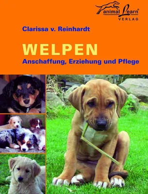 Produktbild von Welpen