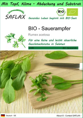 Produktbild von SAFLAX Garden to go - BIO - Sauerampfer - Rumex acetosa - 400 Samen - Mit Topf, Klima - Deckel und Anzuchtsubstrat