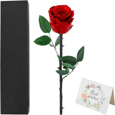 Produktbild von Ewige Rose auf Stiel, rote stabilisierte Rose, 1 Stück, Geschenk für besondere Anlässe