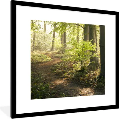Produktbild von MuchoWow® Gerahmtes Poster Wald - Bäume - Weg - Sonne - Pflanzen - Laub - Natur 40x40 cm - Poster mit Schwarzem Bilderrahmen Wandposter Rahmen Foto Bilder - Poster - Plakat im Rahmen