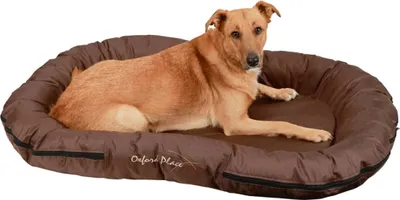 Zdjęcie produktu dla Kerbl Liegekissen Oxford Place (Farbe braun 100 x 70 x 15 cm, waschbar) 84992