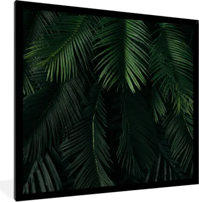 Produktbild von MuchoWow® MuchoWow® Gerahmtes Poster Blätter - Tropisch - Muster - Jungen - Mädchen - Kinder - Kind 40x40 cm - Poster mit zchwarzem Bilderrahmen - Mit Rahmen - Wanddekoration Schlafzimmer