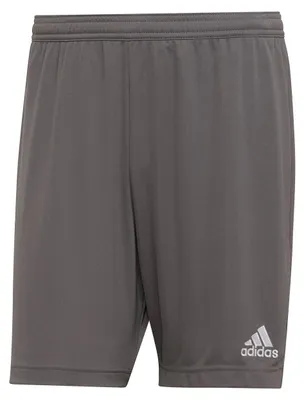 Produktbild von adidas Entrada 22 Shorts L TEGRFO