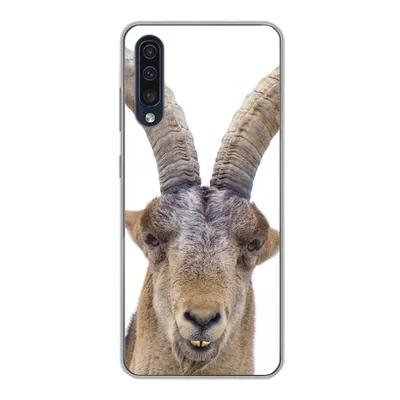 Produktbild von MuchoWow® Handyhülle Schutzhülle Hülle für Samsung Galaxy A30s Steinbock - Tiere - Hoorn Silikon Softcase Handy Hülle - Karteninhaber