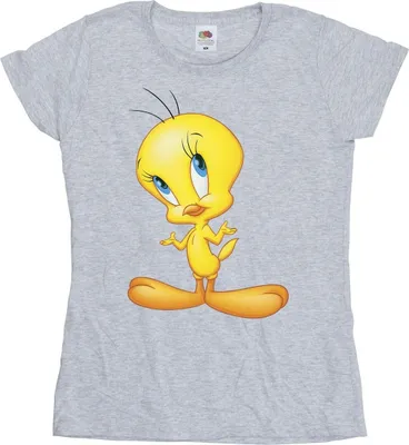 Produktbild von Looney Tunes - T-Shirt für Damen BI28238 (XXL) (Grau)